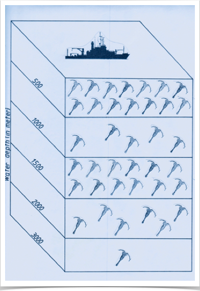 Evaluation of METEOR 8 samples: distribution and abundance, and reproduction of Arctic copepods related to ocean circulation patterns.