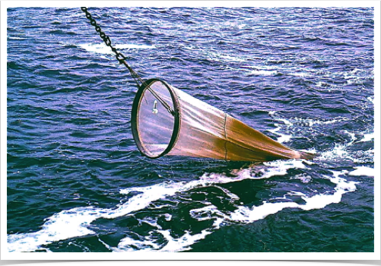 Ring plankton net used for ichthyoplankton research: collection of pelagic fish eggs and fish larvae