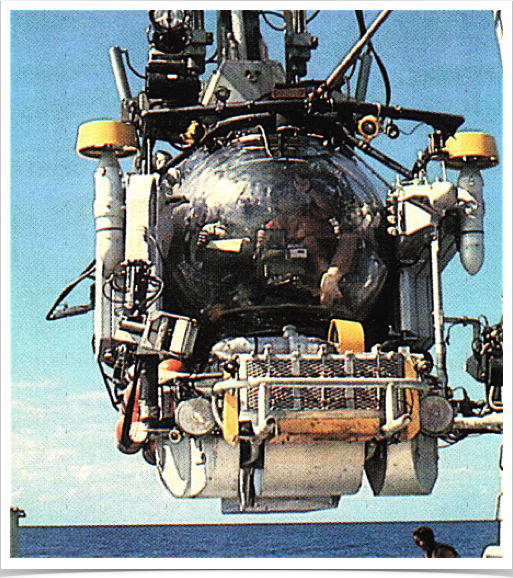 Ready to defend to explore the deep sea fauna 