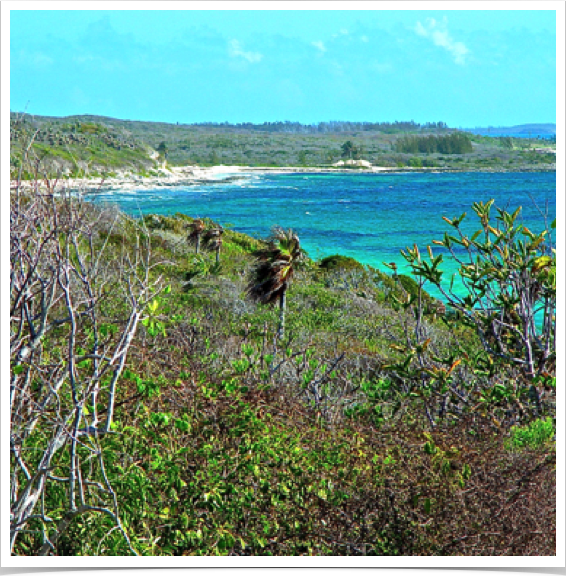 Eleuthera - means freedom in Greek. It also means wonderful, peace and quiet. Eleuthera's Rock Sound. 