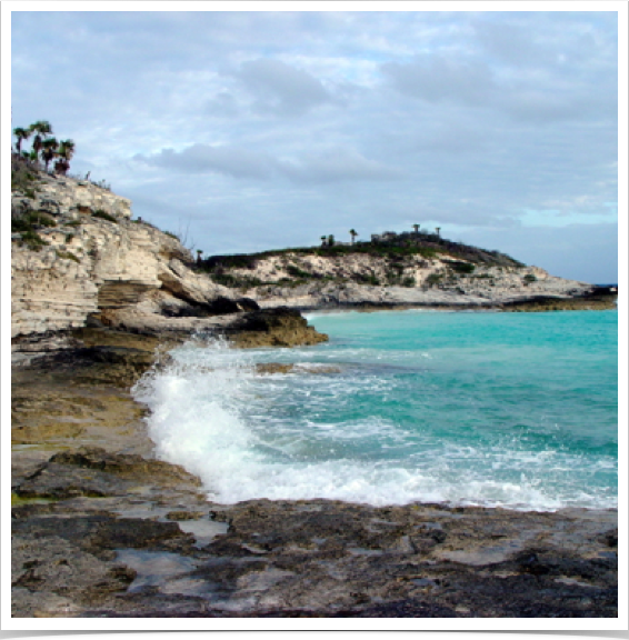 Cape Eleuthera Lighthouse Beach. View from southern tip - layered, wind sculpted, lime rock cliffs and shallow caves below. 