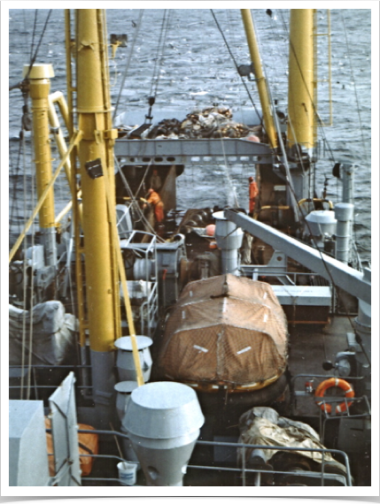 Cod and flatfish population study - collected with bottom trawls.