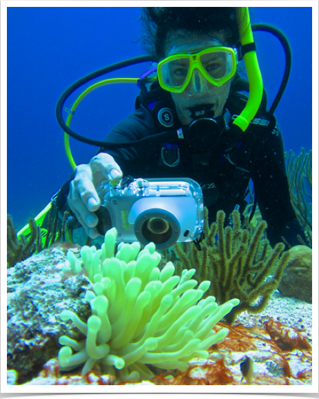 Dr. Alshuth monitoring anthropogenic impacts on tropical reef ecosystems influencing the systems' resilience.