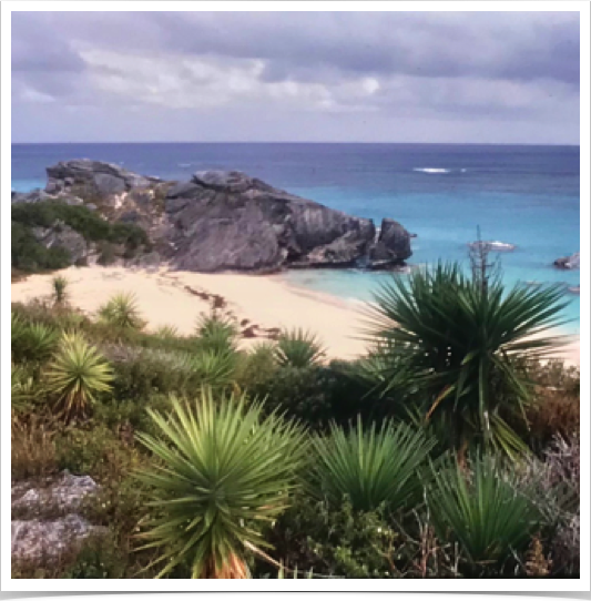 Southern shores of Bermuda and beaches at Warwick Long Bay. 