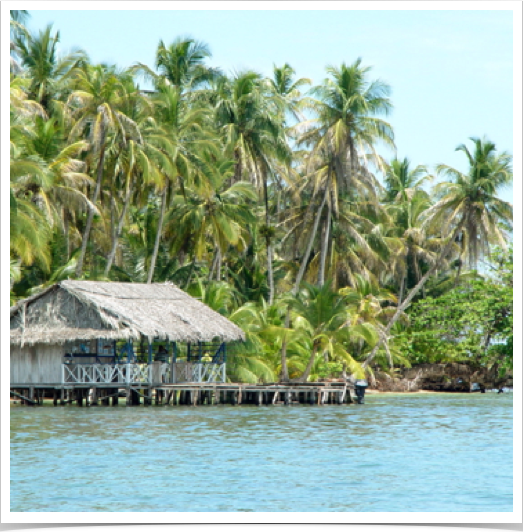 Bocas Del Toro's island coastline is fringed with coconut palms.