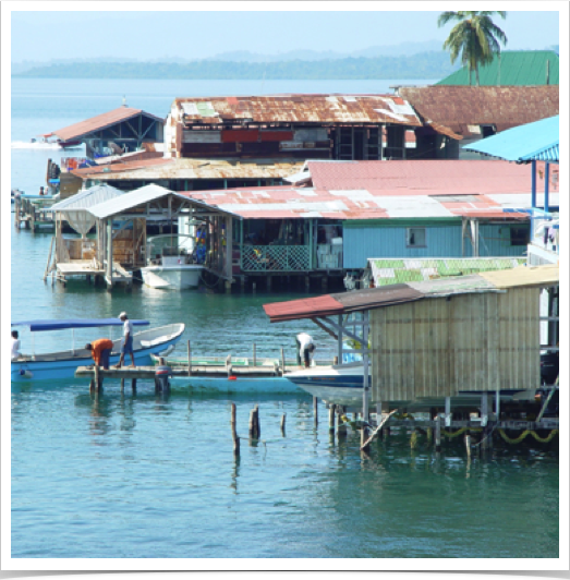 Reefs are threatened by rapid tourism growth and subsequent anthropogenic marine impacts.

