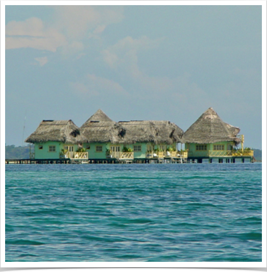 Rapid tourism growth and subsequent anthropogenic impacts caused by increased human presence threaten reefs. 