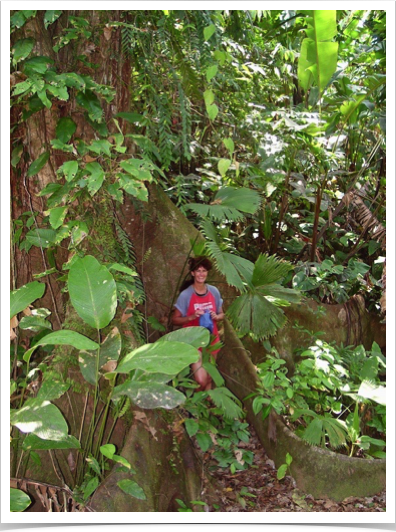 Dr. Alshuth and Buttressed Forest Tree - exploring the Tropical Lowland Rainforest - a high biodiverse vegetation type.