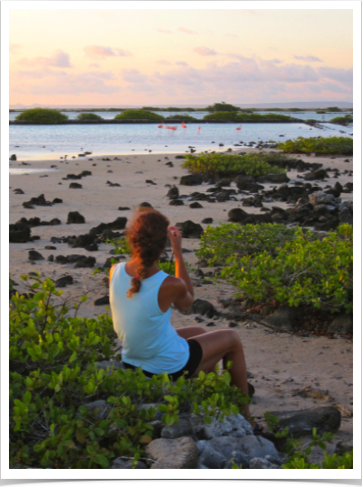 Dr. Alshuth taking photos of Bonaire's flamingoes at southern Pekelmeer. 