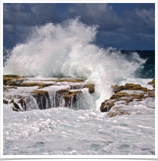 Bonaire's wild side at the east coast.