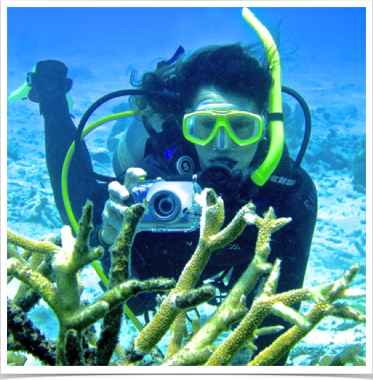 Monitoring coral health and anthropogenic impacts on reef communities in southern Caribbean.