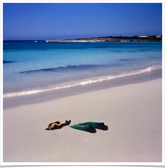 One last dive at South Beach reef - monitoring reef fish biodiversity. 