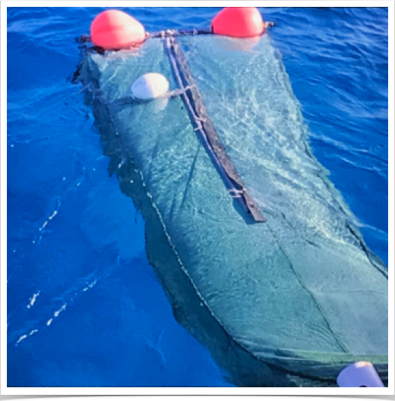 Channel nets moored in Lee Stocking Island Channel and Exuma Sound, Bahama.