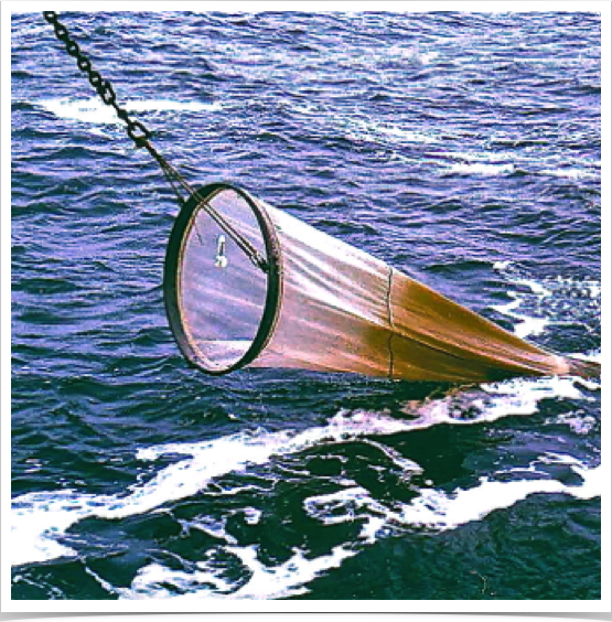 Ring plankton net used for ichthyoplankton research: collection of pelagic fish eggs and fish larvae