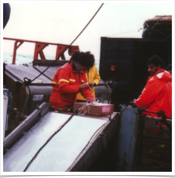 Dr. Alshuth inserts the detonator into the ammongelit explosive.