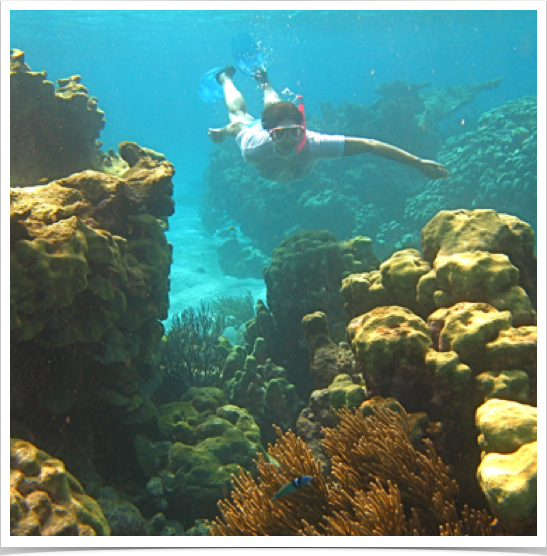 Dr. Alshuth exploring the Tobago Cays' pristine reef system and its diverse hard coral formations. Dr. Alshuth exploring the Tobago Cays' pristine reef system and its diverse hard coral formations.