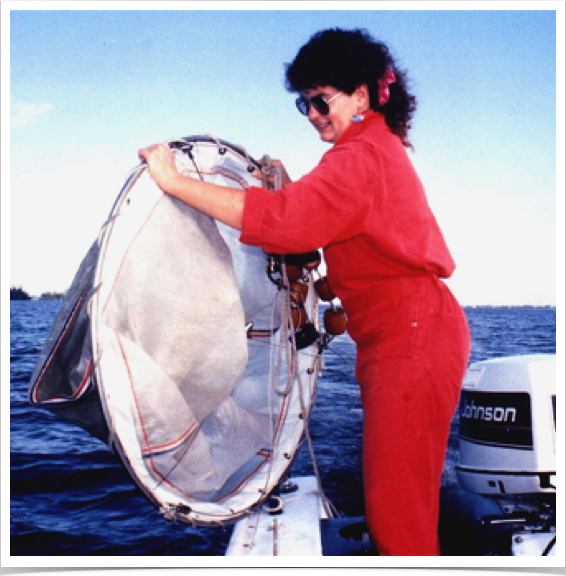 Ring plankton net for larval fish collection.
