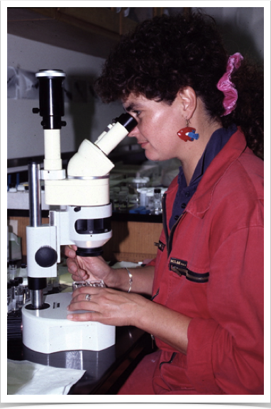 Dr. Alshuth sorting ichthyoplankton (fish eggs & larvae) for recruitment studies.