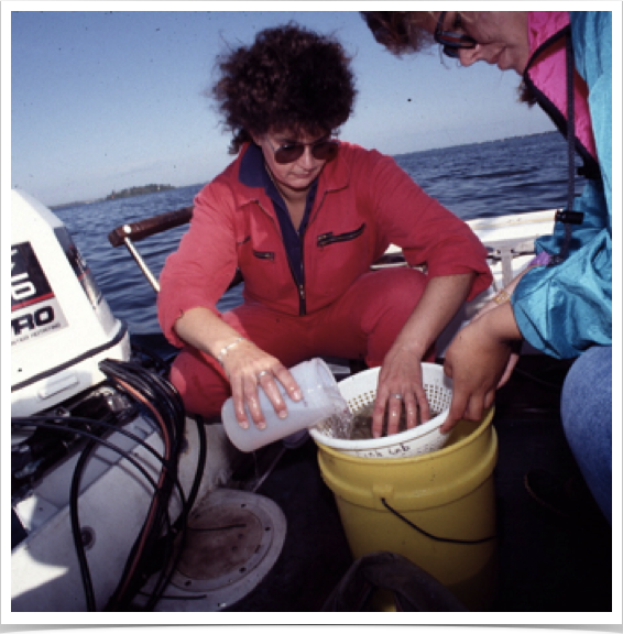 Separating debris from ichthyoplankton sample taken in Indian River Lagoon.