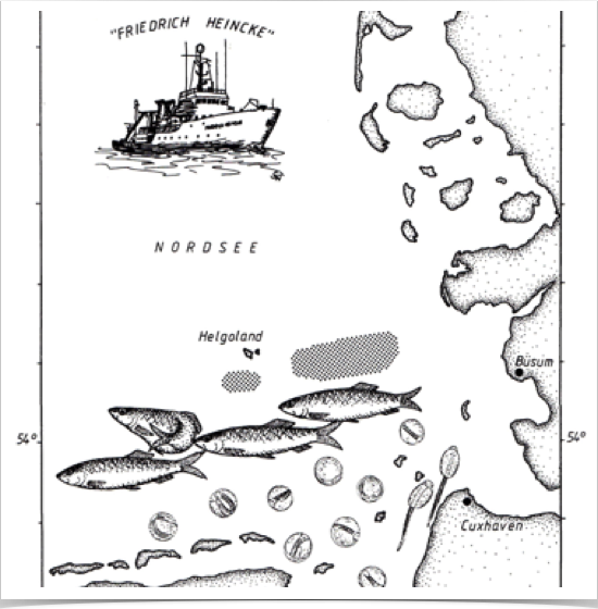 Fisheries research  project expedition chart. Drawing by S. Alshuth
