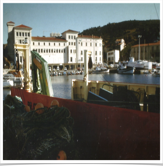 Mediterranean Observatoire Océanologique de Banyuls, Mediterranean Sea 