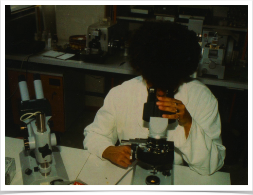 Dr. Alshuth preparing otoliths for photographic documentation and SEM analysis. 