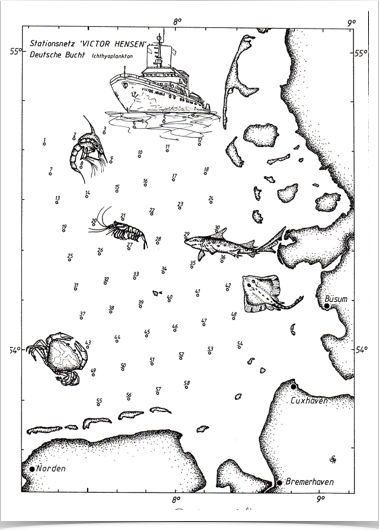 Fisheries research  project expedition chart.  Drawing by S. Alshuth
