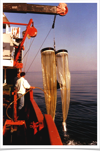 BONGO net used for ichthyoplankton
collection
