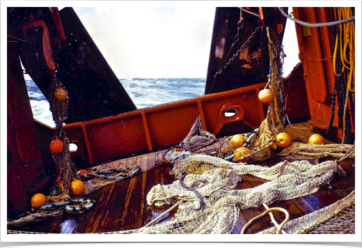 Rough journey - FS VICTOR HENSEN course  to Central North Sea’s 
Doggerbank 
