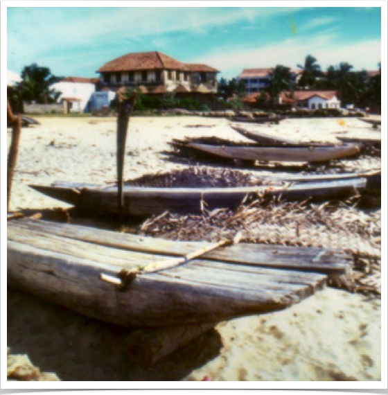 Negombo Lagoon's beaches are lined with fishing boats.