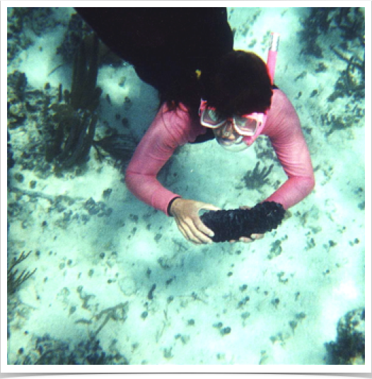 Dr. Alshuth exploring the coral reef community at Northwest Point Marine National Park.