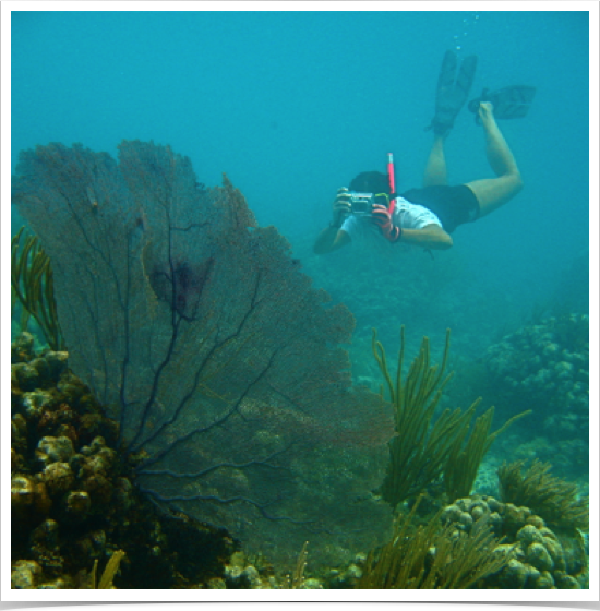 Exploring reefs at Norman Island, the Caves, Deadman's Bay, Peter Island, Virgin Gorda, Anagada and Jost Van Dyke. 