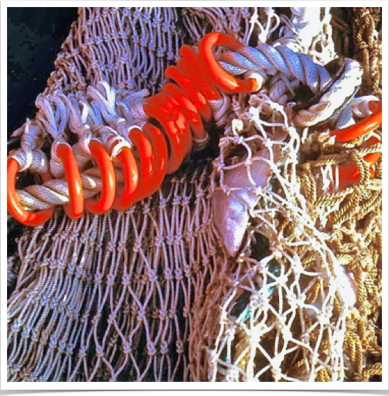 Bottom and pelagic trawl were deployed from the research vessel