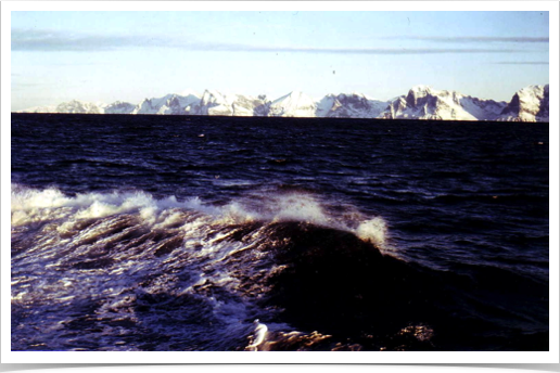 Dr. Alshuth with BONGO net