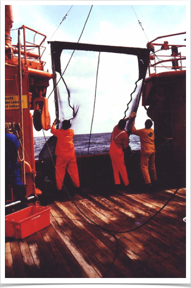 RMT - Rectangular Midwater Trawl for collection of juvenile sprat.