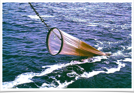 Ring plankton net used for ichthyoplankton research: collection of pelagic fish eggs and fish larvae