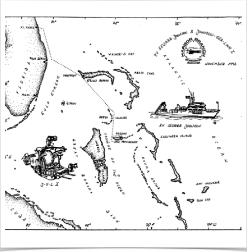 Exploring deep sea benthos in Bahamas Archipelago. Drawing: S. Alshuth.
