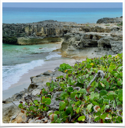 Limestone cliffs and sea caves are frequently found in the Exuma Cays. Limestone cliffs and sea caves are frequently found in the Exuma Cays.