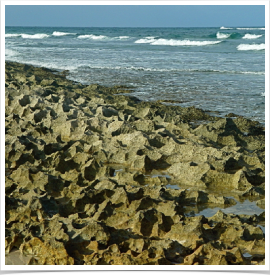 Solution weathering of the limestone results in the "Bahamian Karst" topography. Solution weathering of the limestone results in the "Bahamian Karst" topography.