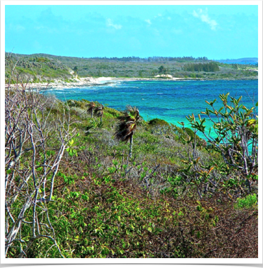 Eleuthera - means freedom in Greek. It also means wonderful, peace and quiet. Eleuthera's Rock Sound. Eleuthera - means freedom in Greek. It also means wonderful, peace and quiet. Eleuthera's Rock Sound.