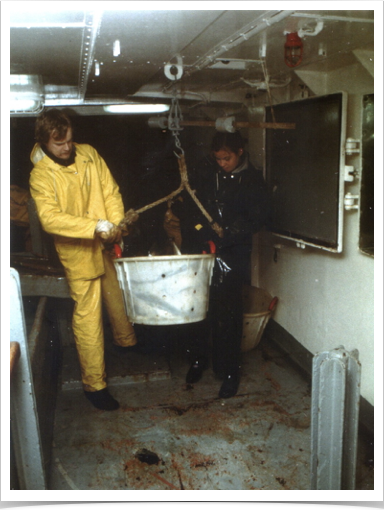 Baltic fish population density and biomass study onboard FS ANTON DOHRN