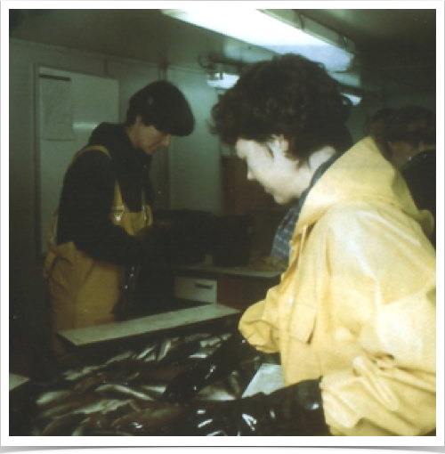 Fish biologists research team sorting benthic fish from bottom trawl