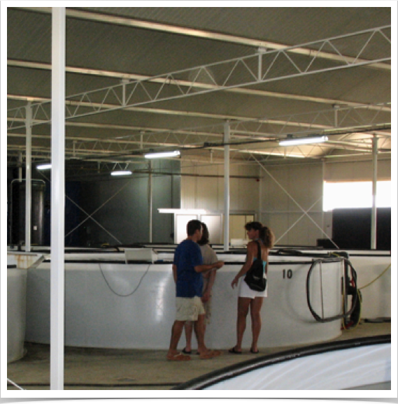 Dr. Alshuth at Elijah Fish Farm in Bonaire.