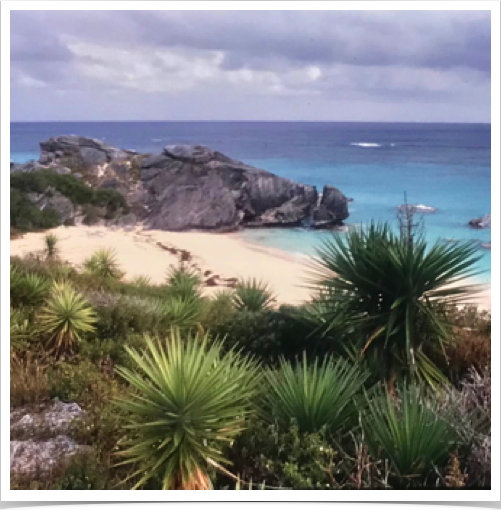 Southern shores of Bermuda and beaches at Warwick Long Bay. 