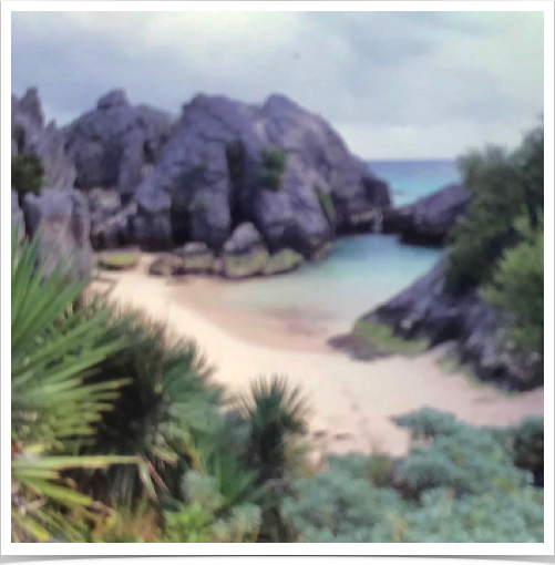 Bermuda's reefs are readily accessible from shore by snorkellers and scuba divers, especially at Church Bay.