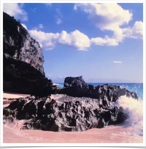 Bermuda's pink beaches are composed of single-celled red foraminifera - mixed with coral and shell fragments.