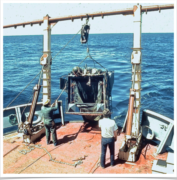 Evaluating data collected with Tucker Trawl and BIONESS - physical and chemical oceanography.
