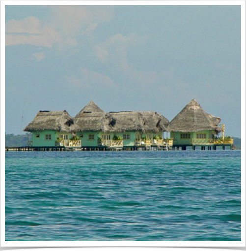 Rapid tourism growth and subsequent anthropogenic impacts caused by increased human presence threaten reefs. Rapid tourism growth and subsequent anthropogenic impacts caused by increased human presence threaten reefs.