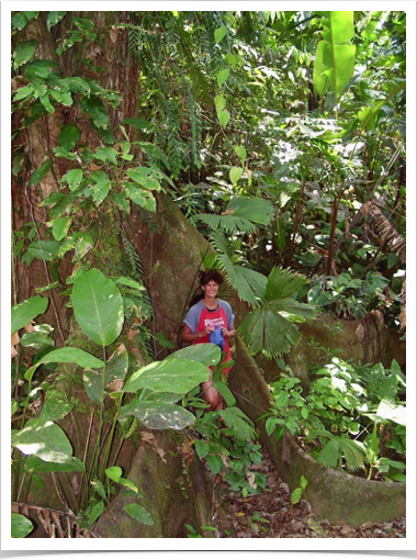 Dr. Alshuth and Buttressed Forest Tree - exploring the Tropical Lowland Rainforest - a high biodiverse vegetation type. Dr. Alshuth and Buttressed Forest Tree - exploring the Tropical Lowland Rainforest - a high biodiverse vegetation type.