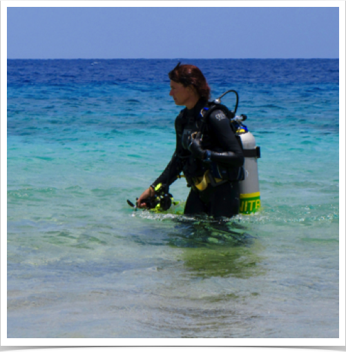 Dr. Alshuth exploring the fringing coral reefs - accessible from the shore along the lee side of the islands. Dr. Alshuth exploring the fringing coral reefs - accessible from the shore along the lee side of the islands.